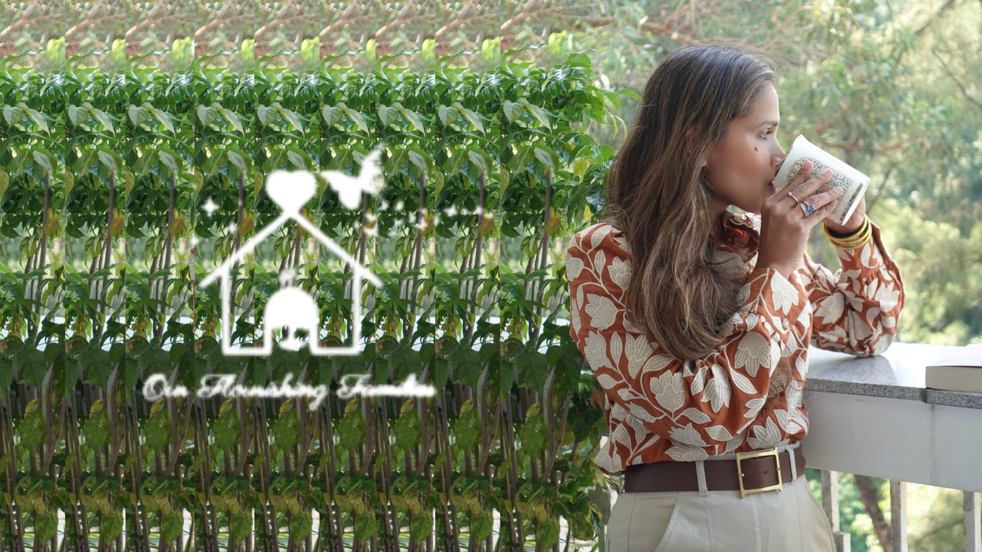 From Expertise to Flywheel: Content Families Can Use